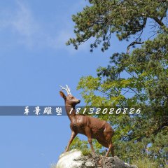 小鹿雕塑，玻璃鋼仿真動物