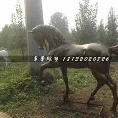 馬銅雕，公園動物銅雕